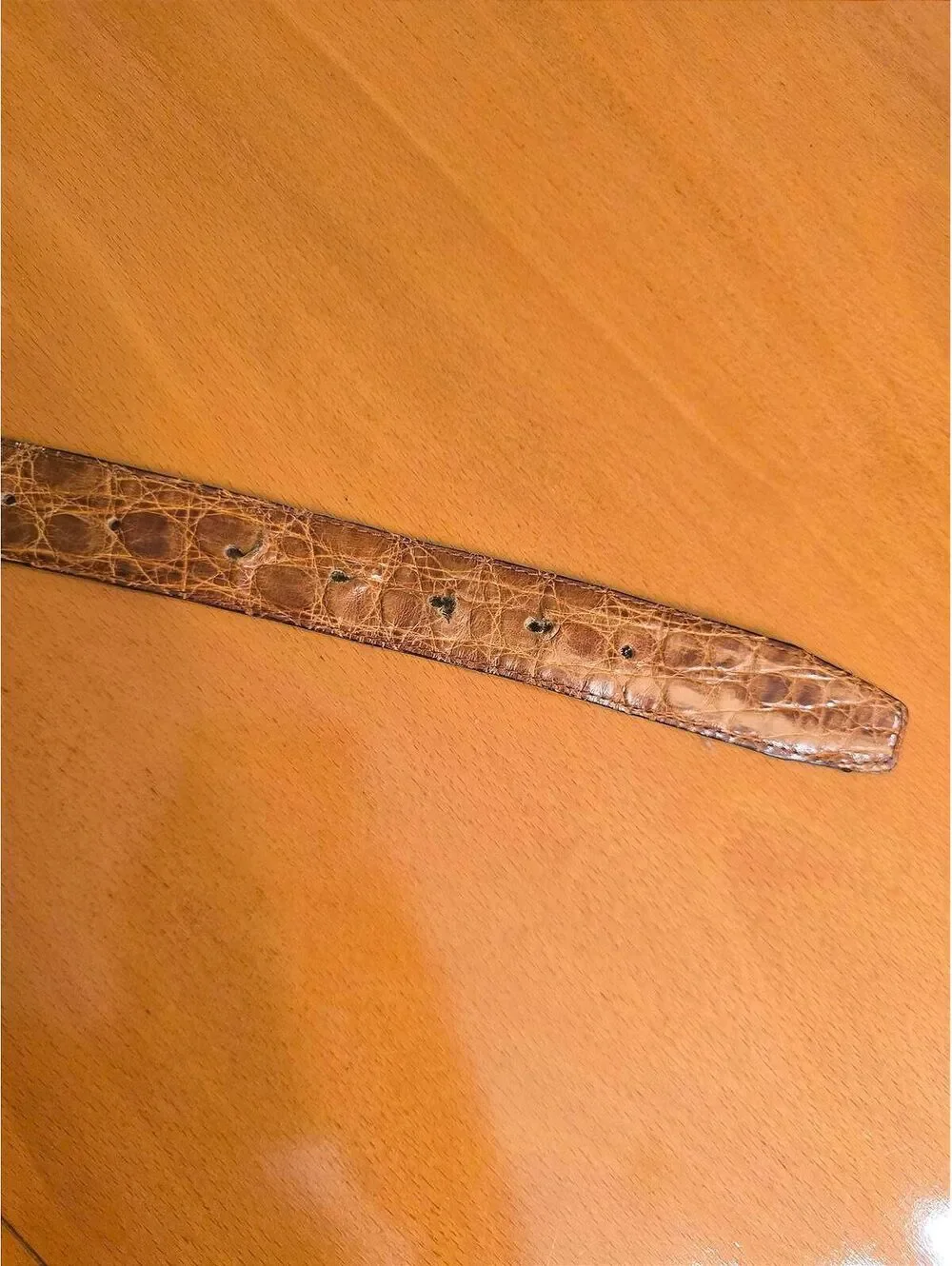 Leonardo Rinaldi Caiman Crocodile Belt- Brown, Size 33